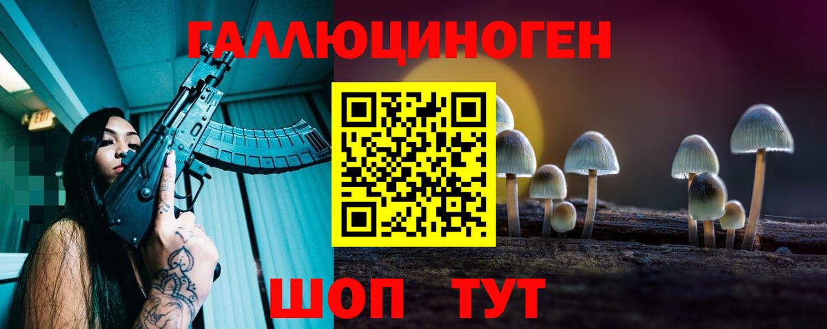 Галлюциногенные грибы MAGIC MUSHROOMS  Вход с VPN  Анапа 